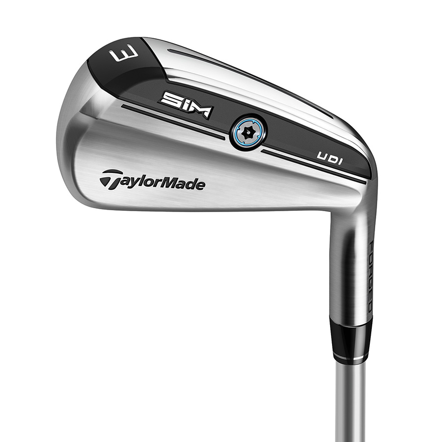 TaylorMade P790 UDI 2番アイアン型ユーティリティ - クラブ